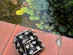 -广东花都湖国家湿地公园