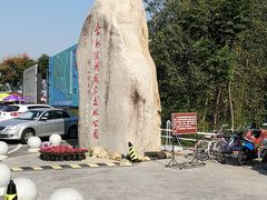 -合肥滨湖国家森林公园