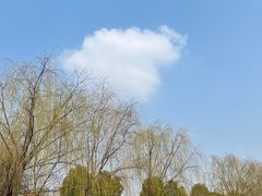 -汉江湾体育公园