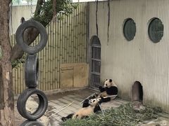 -重庆动物园·东二门售票处