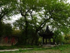 -兰亭风景区