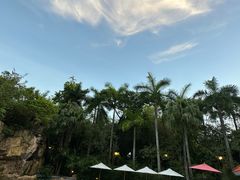 -Waterfall瀑布湾优健源(华侨城店)