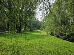 -长白岛森林公园