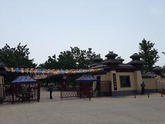 -御林古桑园