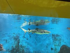-秦皇岛新澳海底世界