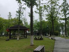 -苏州太湖湖滨国家湿地公园
