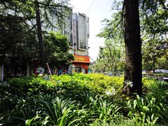 -上海市虹口区图书馆(曲阳分馆)