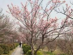 -苏州吴中太湖旅游区