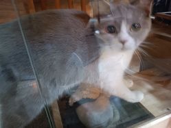 -青木造型HAIR·あおき髪を刈る潮人店