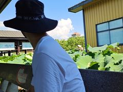 -千龙湖生态旅游度假区