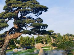 -罗红摄影艺术馆