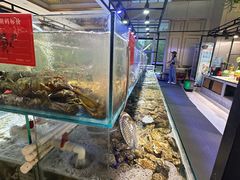 -四海蒸鲜蒸汽海鲜自助(北戴河店)