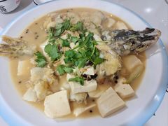 -煲来饱去冷水鱼