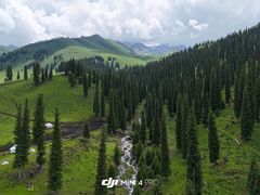 -新疆那拉提国家旅游度假区