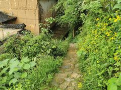 -杨家堂村