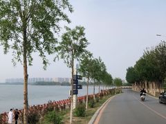 -丁香湖公园