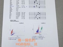 -爱侣宠医·鹦鹉专科·小型哺乳类·异宠专科(灵石路店)