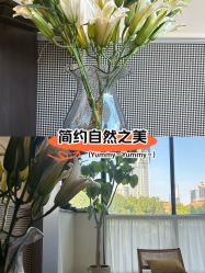-Fancy梵汐·轻奢量肤定制