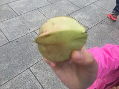 -九里河湿地公园