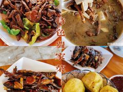 野蘑菇炒肉-途肴·老农饭庄(百里峡店)