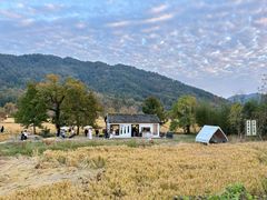 -塔川景区