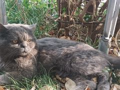 -昆明动物园