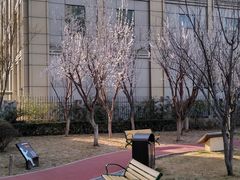 -和平区健康主题公园