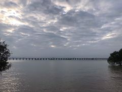 -宝安西湾红树林湿地公园