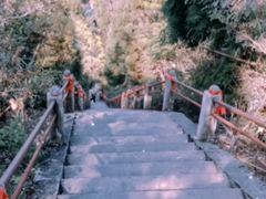 -江西阳明山国家森林公园