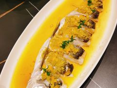 烧椒梁湖大白刁-双湖宴·湖北菜(文化路店)