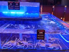 -顺风海鲜港(金玉兰店)