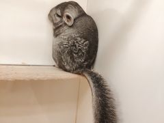 -龙猫仔乐园(惠福东路店)