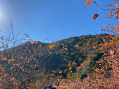 -北京西山国家森林公园