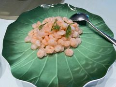 -张生记(丁香国际店)