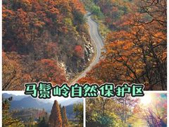 -安徽天堂寨风景区