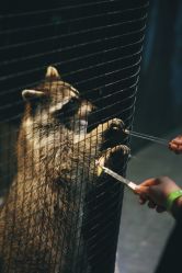 -酷嗒动物文化乐园(cutezoo西溪乐天城店)