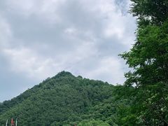 -牛背梁国家森林公园