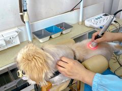 -派美特宠物医院·核磁CT·骨科肿瘤·疑难转诊(沈农禾丰店)