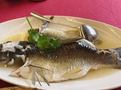 -云顶山庄·粤菜·农家菜(共和店)