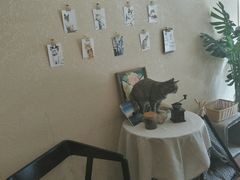 -猫友咖啡店(玉林西路店)