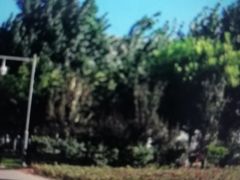 -天津工业大学(河东校区)