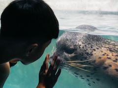 -左海海底世界