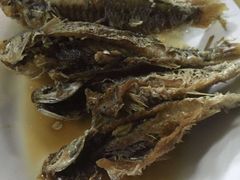 -蛇口康乐快餐鱼仔档(翠苑小区店)