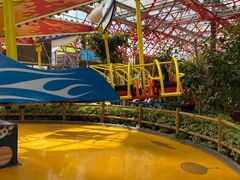 -南宫五洲植物乐园