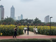 -万绿园