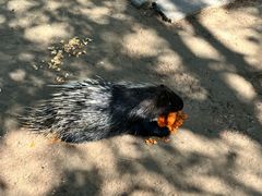-青藏高原野生动物园