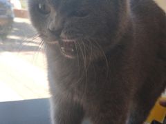 -平行世界·猫咖(首经贸店)