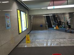 -大龙山(地铁站)