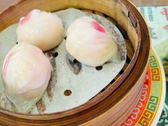 -憶廟街 X 沙角邨(太古城店)