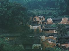 -杨家堂村